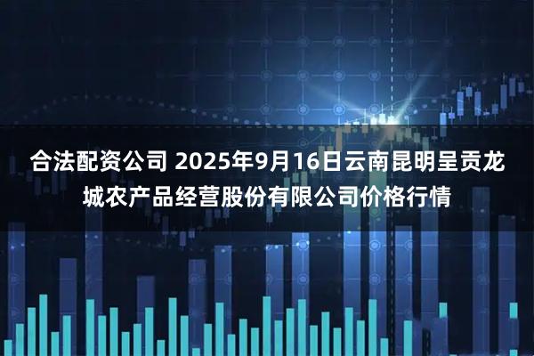 合法配资公司 2025年9月16日云南昆明呈贡龙城农产品经营股份有限公司价格行情